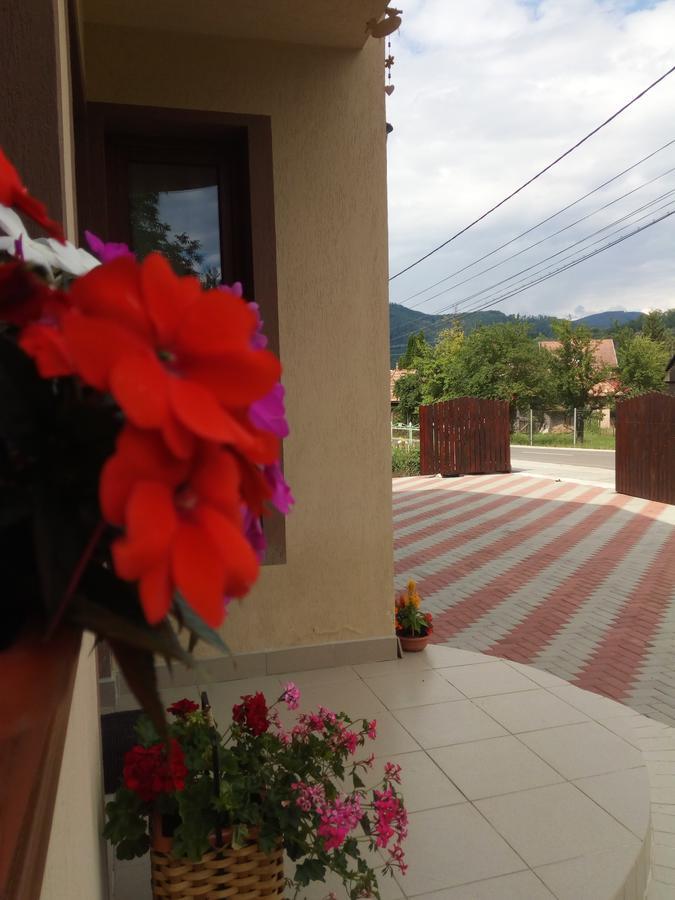 Casa Infinity Hotel Sovata Buitenkant foto