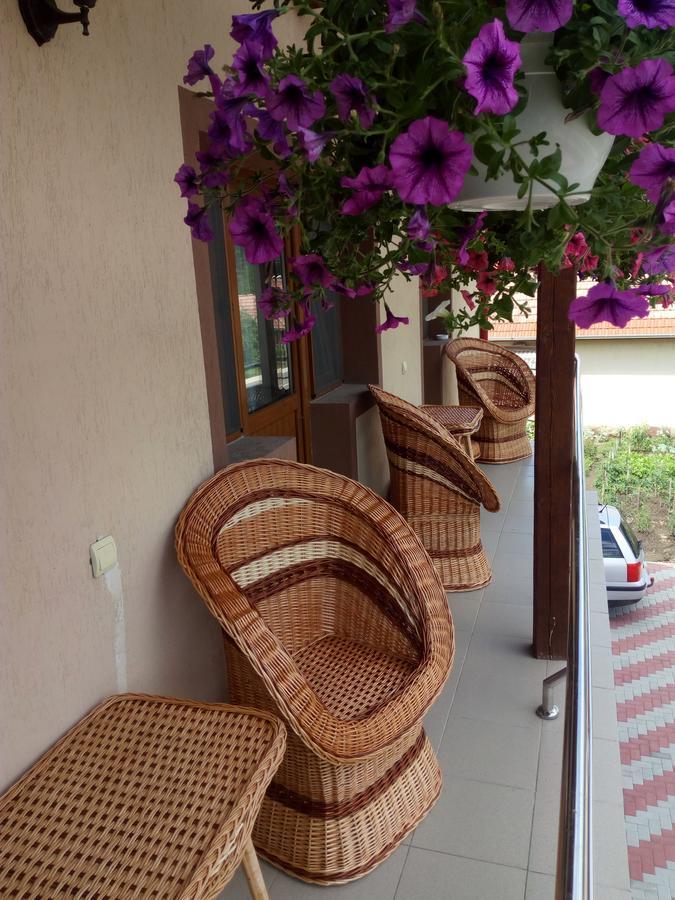 Casa Infinity Hotel Sovata Buitenkant foto