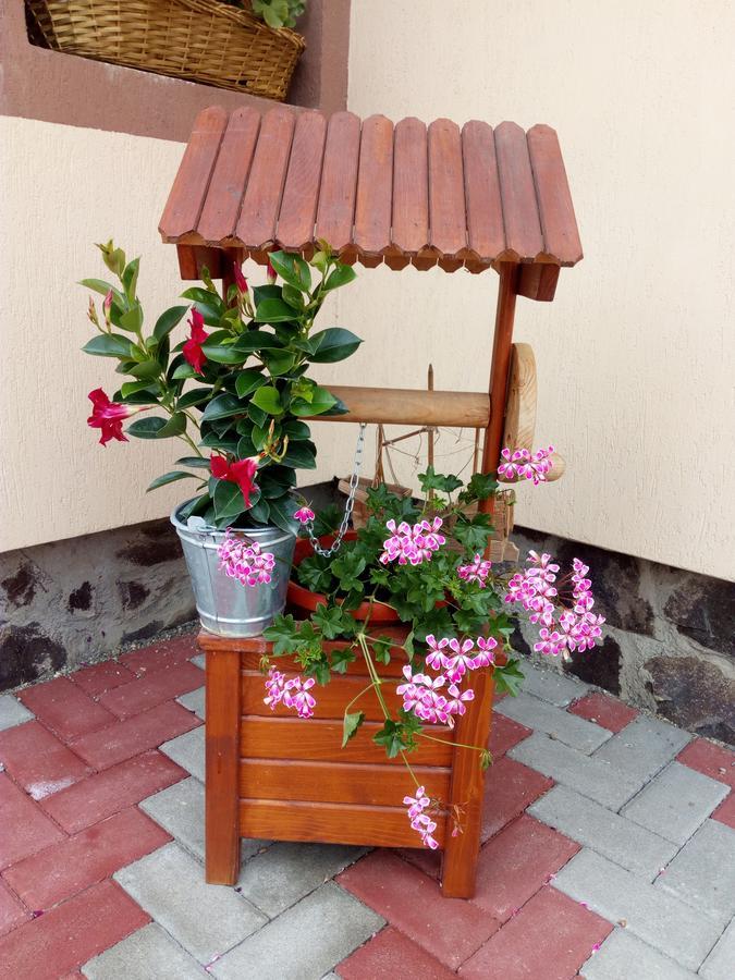 Casa Infinity Hotel Sovata Buitenkant foto