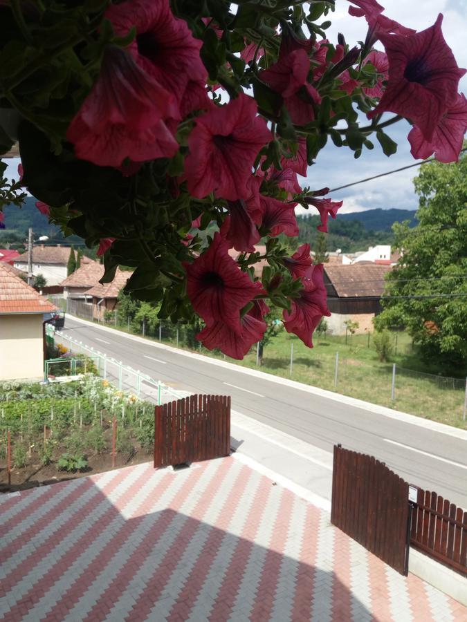 Casa Infinity Hotel Sovata Buitenkant foto